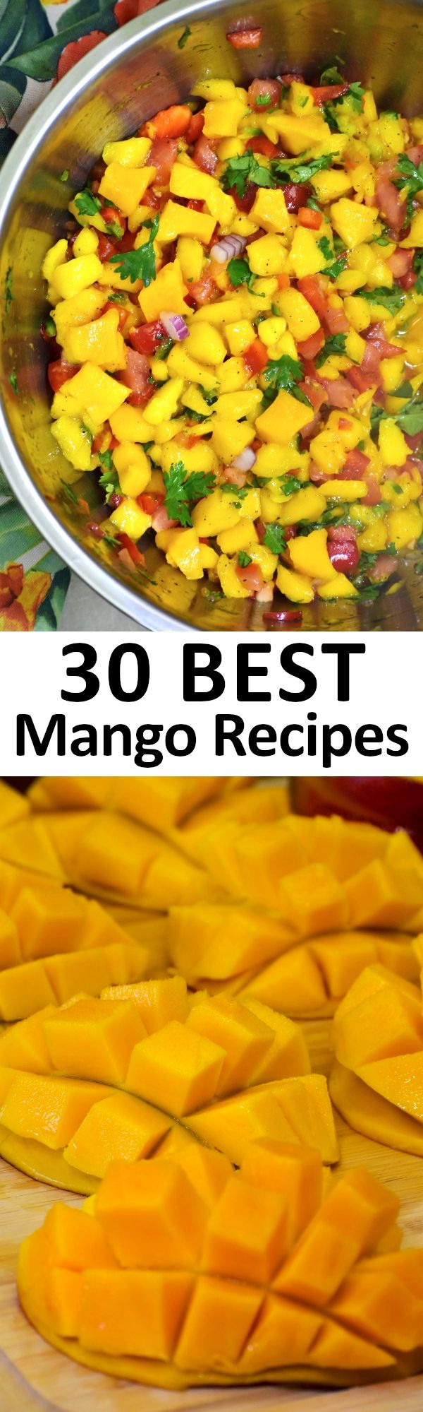 30种最佳芒果食谱。