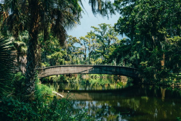 一座桥在新奥尔良城市公园。