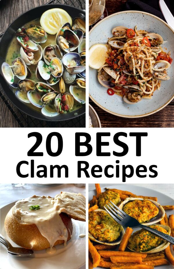 20种最好的蛤蜊食谱。