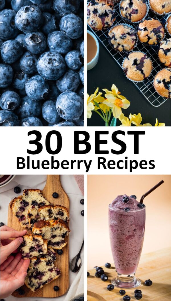 用蓝莓做什么-最好的蓝莓食谱。
