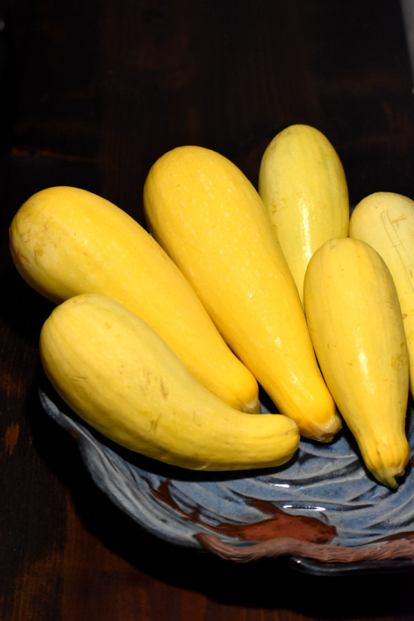 六个黄色的南瓜放在一个浅蓝色的碗里