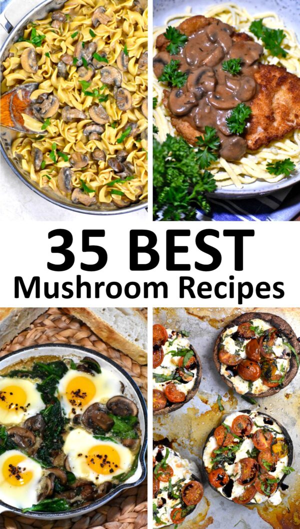 35种最好的蘑菇食谱。