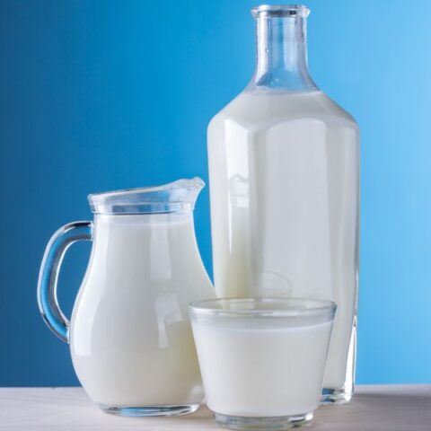 牛奶替代品的专题图片半岛官方下载正规版下载安装