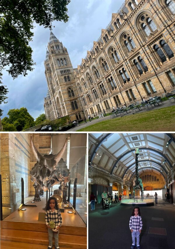 伦敦必做之事——从外面参观自然历史博物馆，还有一些化石